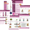 Word Bank- Vault of Vocabulary